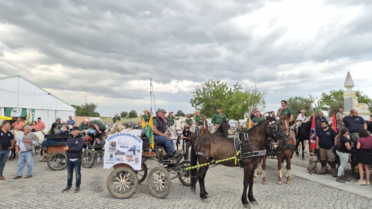 Romaria a Cavalo Moita – Viana do Alentejo