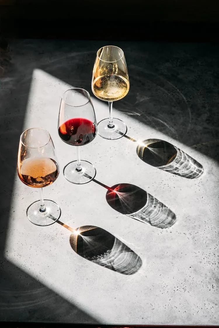 Imagem oficial do Vidigueira Wine Festival 2026.